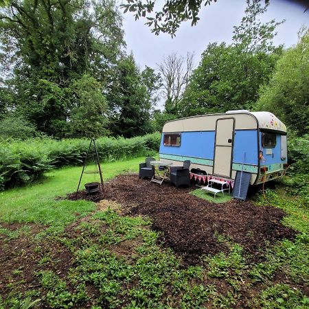 Quirky Eco Stay, Bedding Not Supplied, Peaceful & Private For 2 In Dble Bed Narberth Luaran gambar