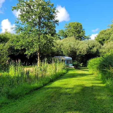 Quirky Eco Stay, Bedding Not Supplied, Peaceful & Private For 2 In Dble Bed Narberth Luaran gambar