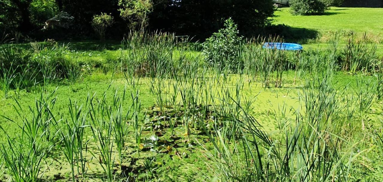 Quirky Eco Stay, Bedding Not Supplied, Peaceful & Private For 2 In Dble Bed Narberth Luaran gambar