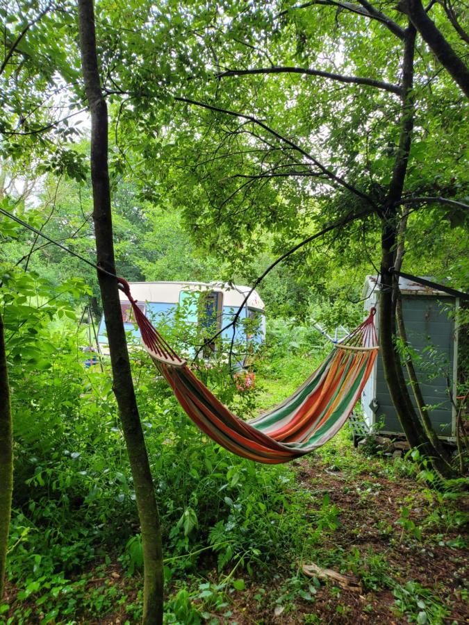Quirky Eco Stay, Bedding Not Supplied, Peaceful & Private For 2 In Dble Bed Narberth Luaran gambar