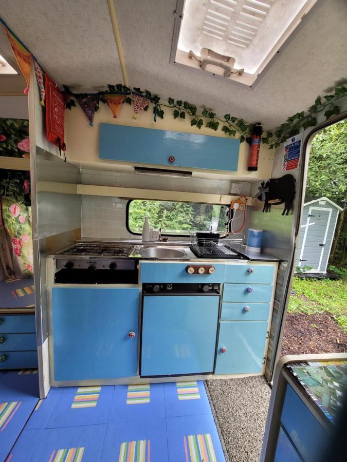Quirky Eco Stay, Bedding Not Supplied, Peaceful & Private For 2 In Dble Bed Narberth Luaran gambar